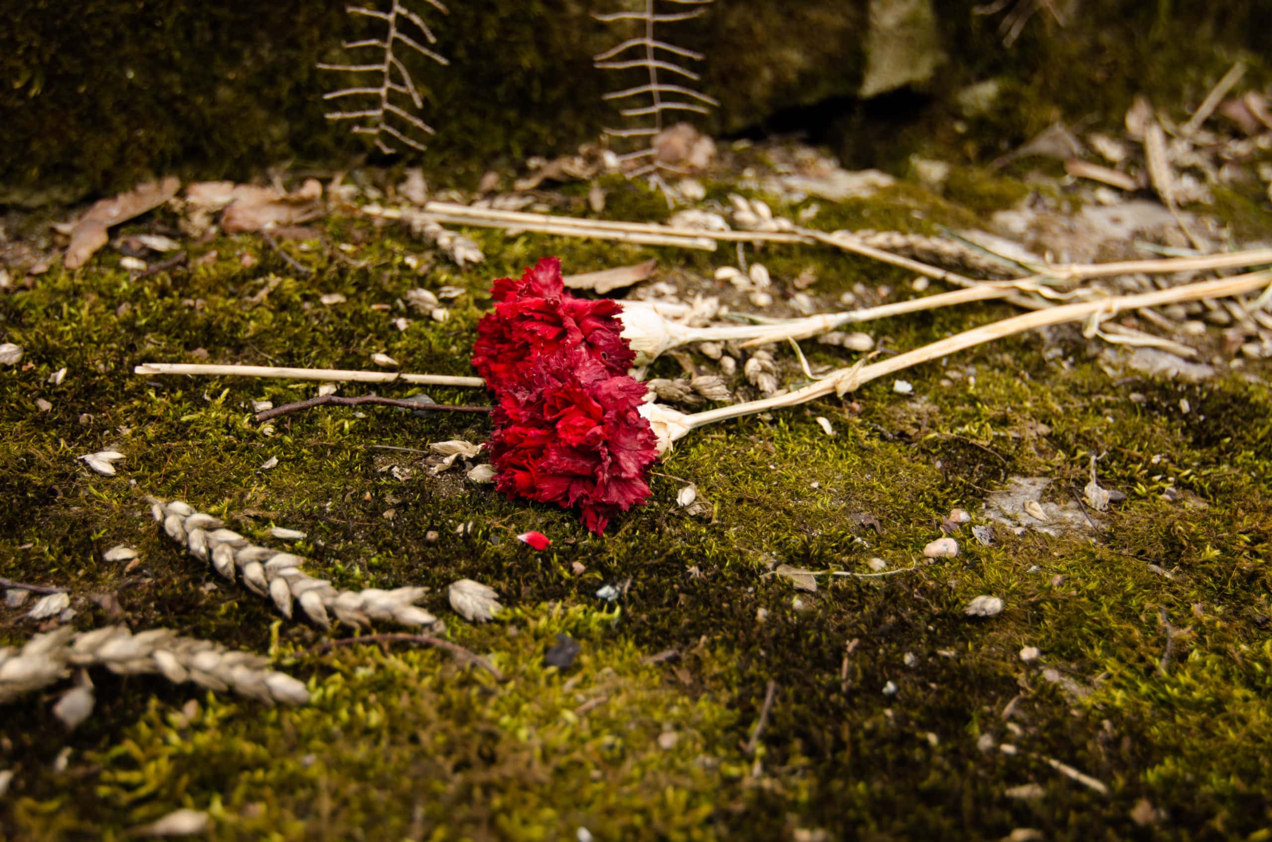 Messed Up Love stories Facts