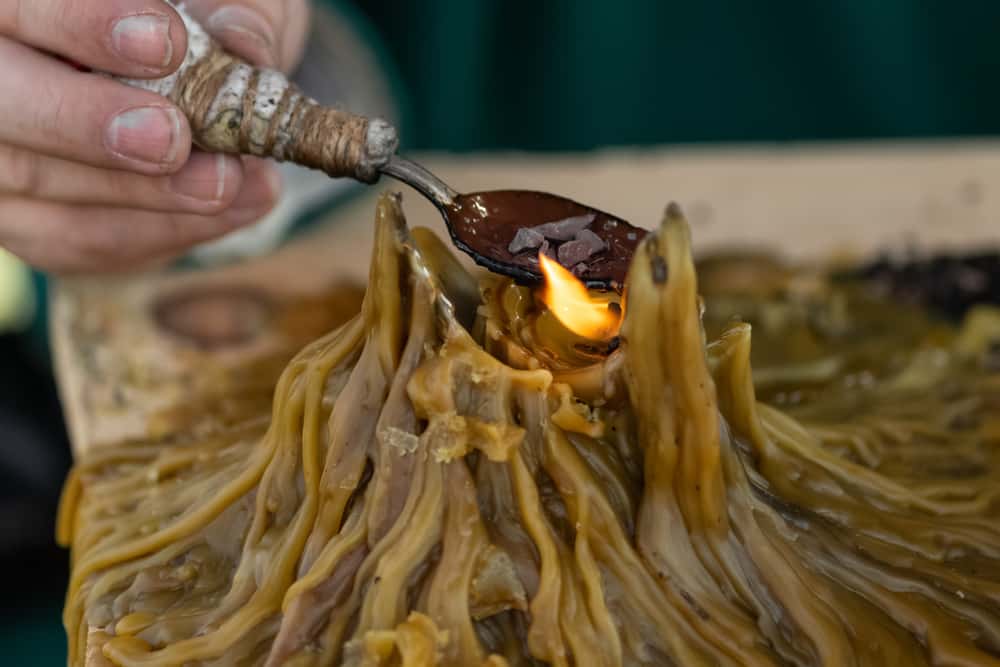 Craziest Circus Performers facts