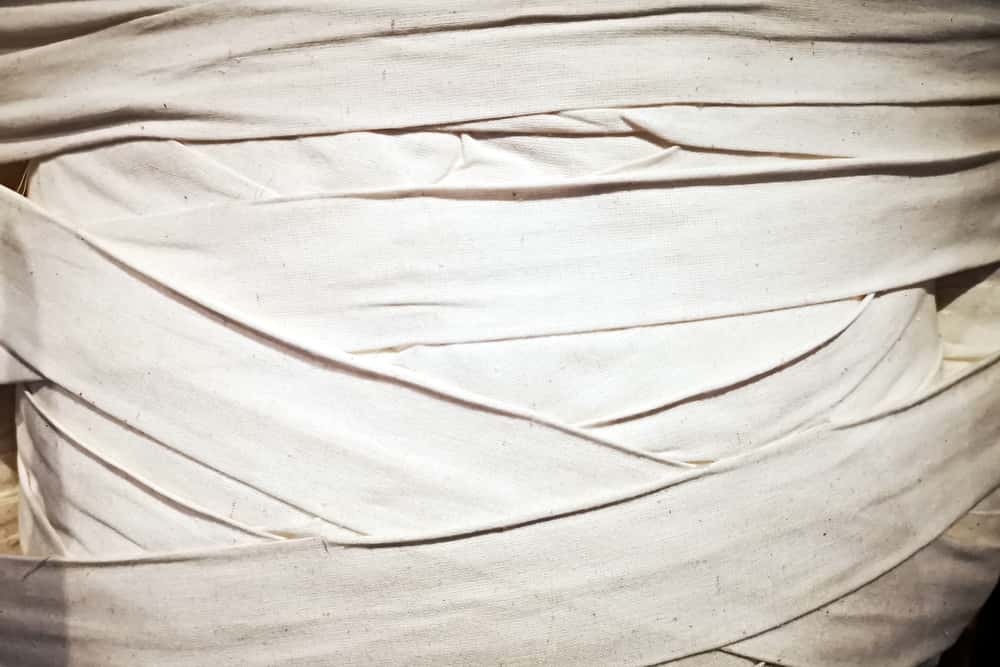 Origins of Monsters facts