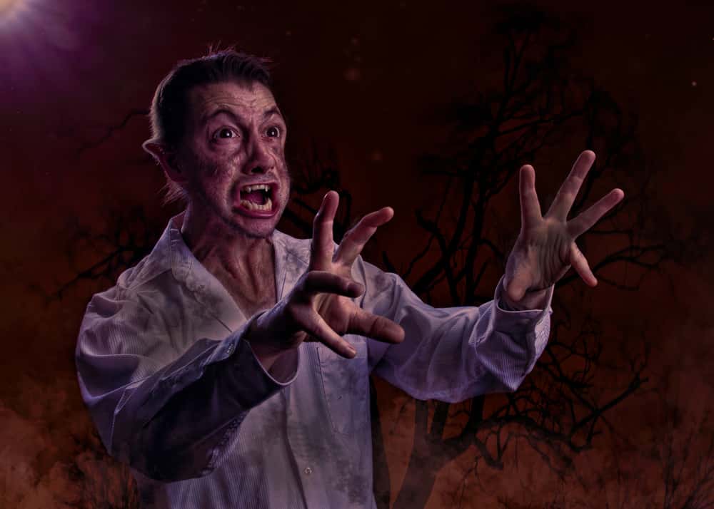 Origins of Monsters facts