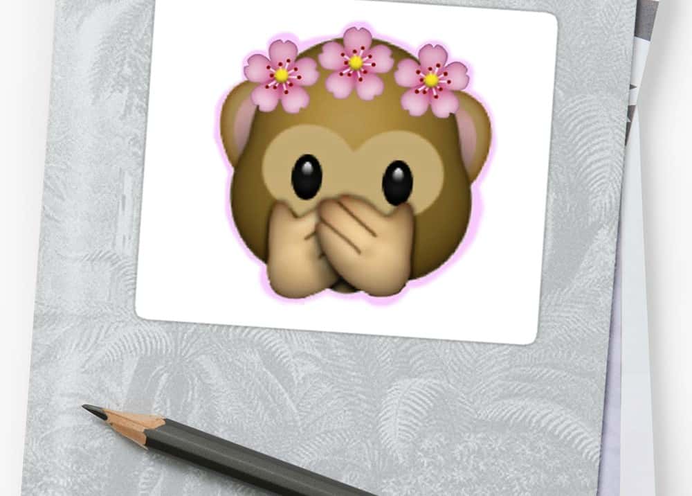 Koko The Gorilla Facts