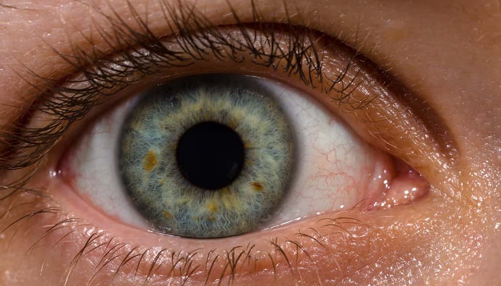 Common Misconceptions facts