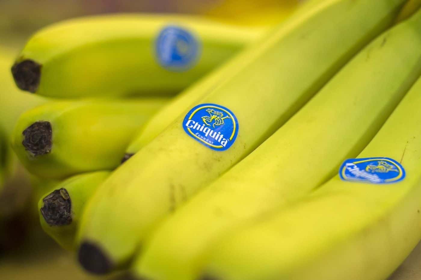 Class Action Lawsuits facts