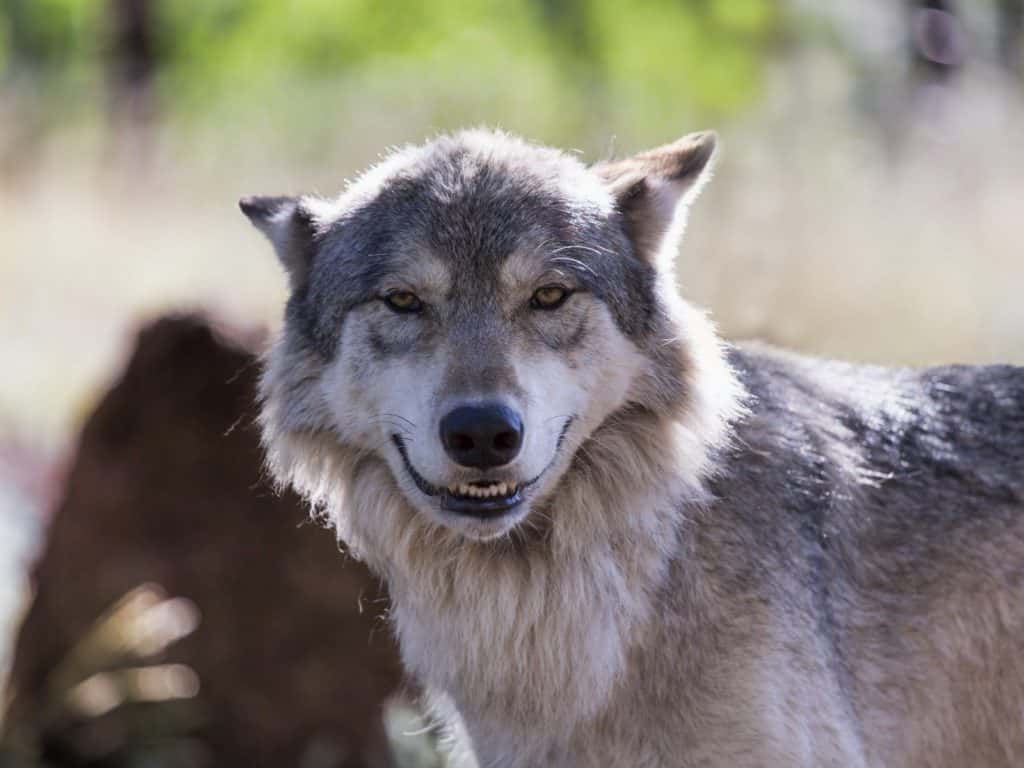 Horrifying Thing Woken Up To facts