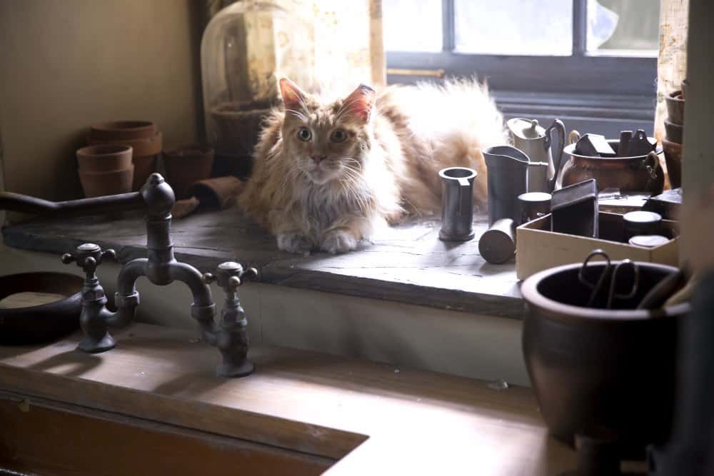 The Hunger Games facts