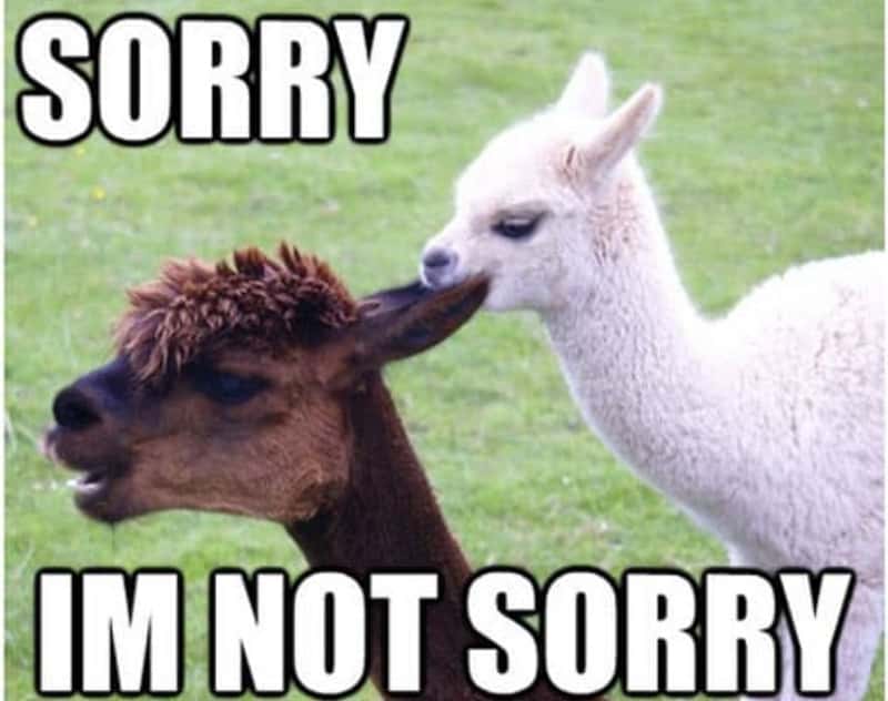 Rude Strangers Facts