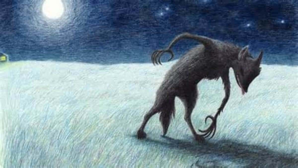 Paranormal Experiences facts