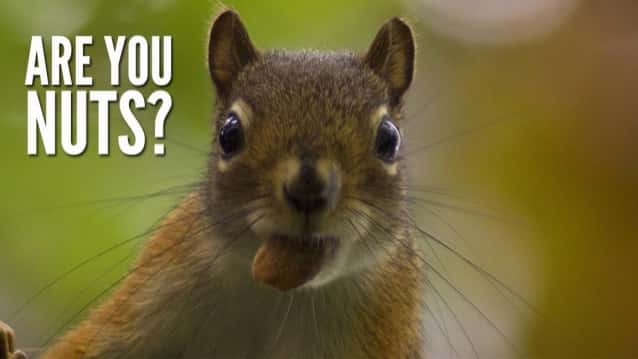 Family Members Facts