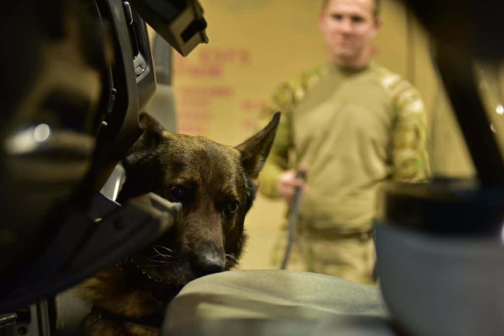 When The Judge Read Out His Ruling, These Teens Accused Of Murder Started Crying Like Babies