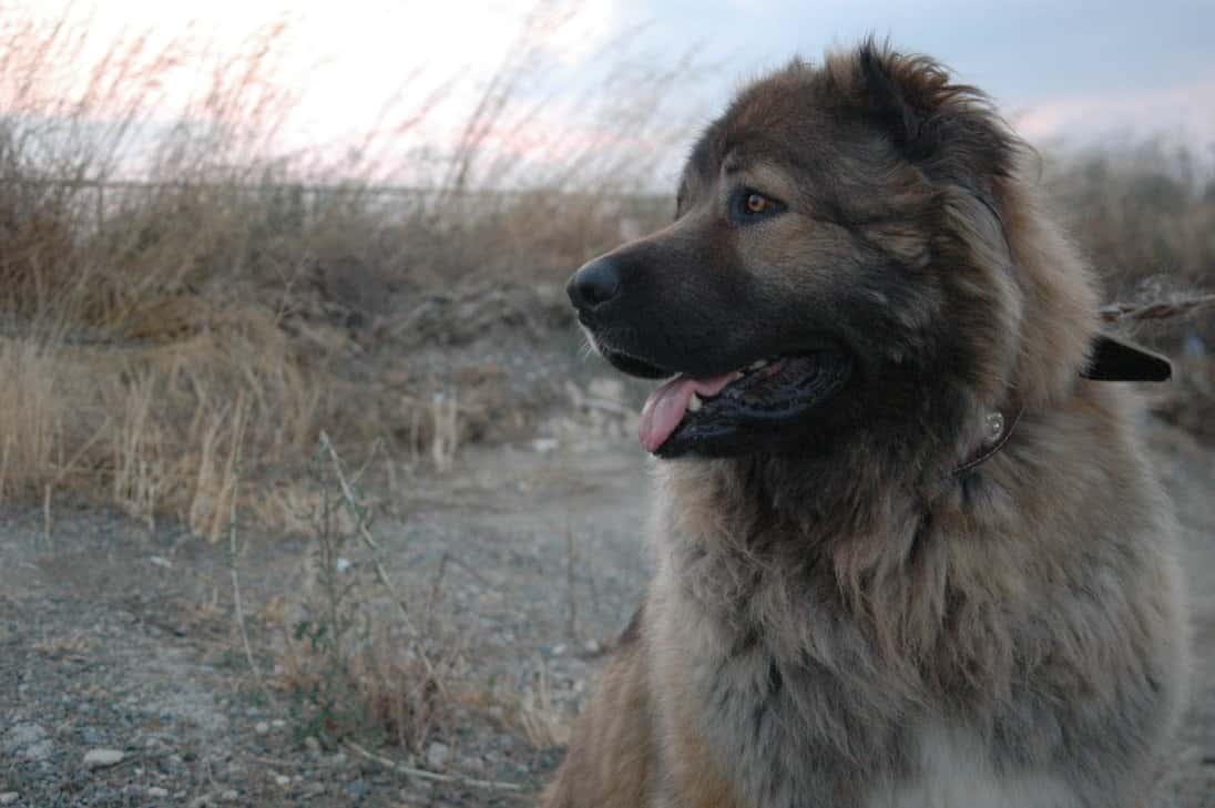 Sneak Through Airport Security facts 