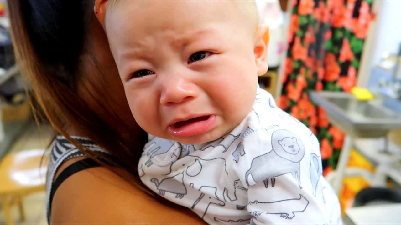 Family Members Facts