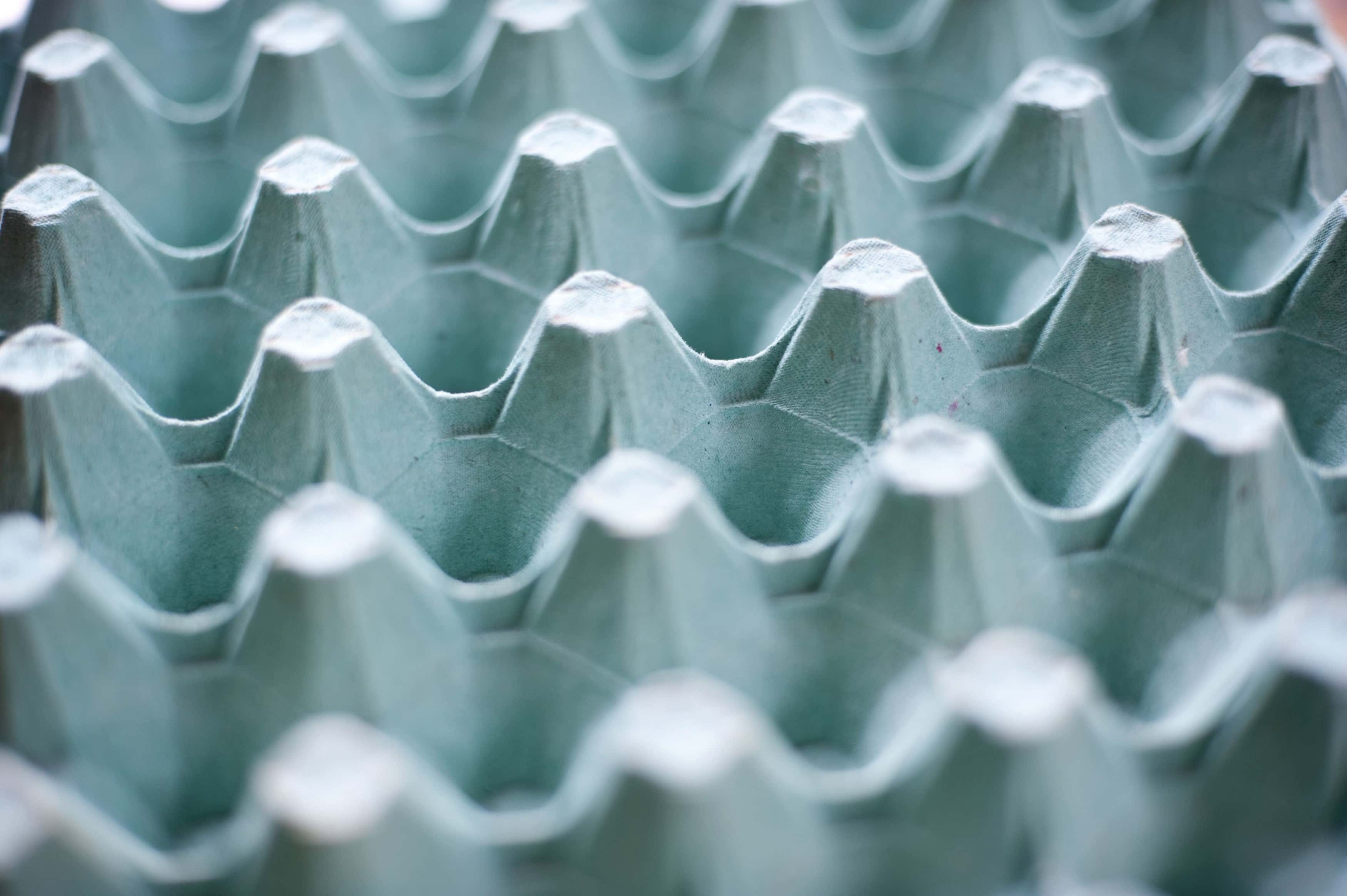 Sneak Through Airport Security facts