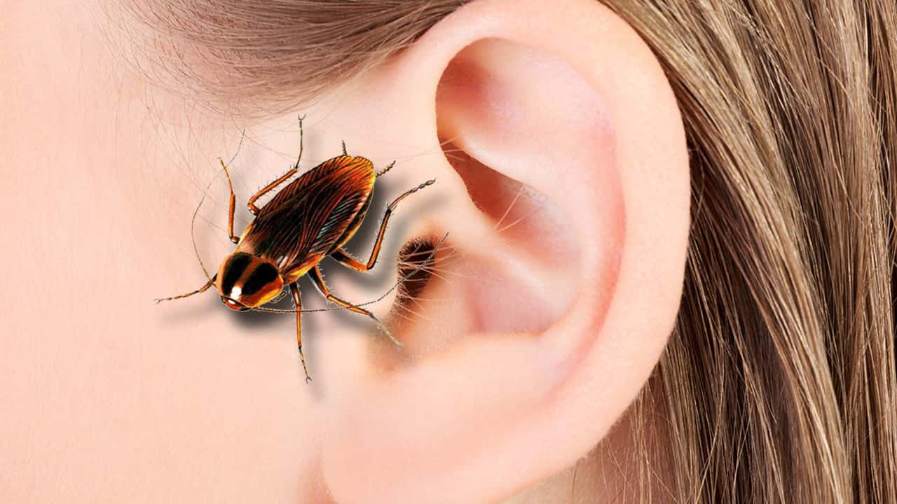 Horrifying Thing Woken Up To facts