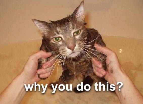 Family Members Facts