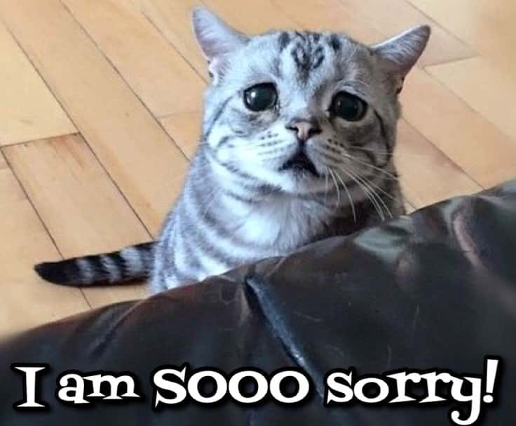 Disney Employees the Weirdest Thing They’ve Seen facts 