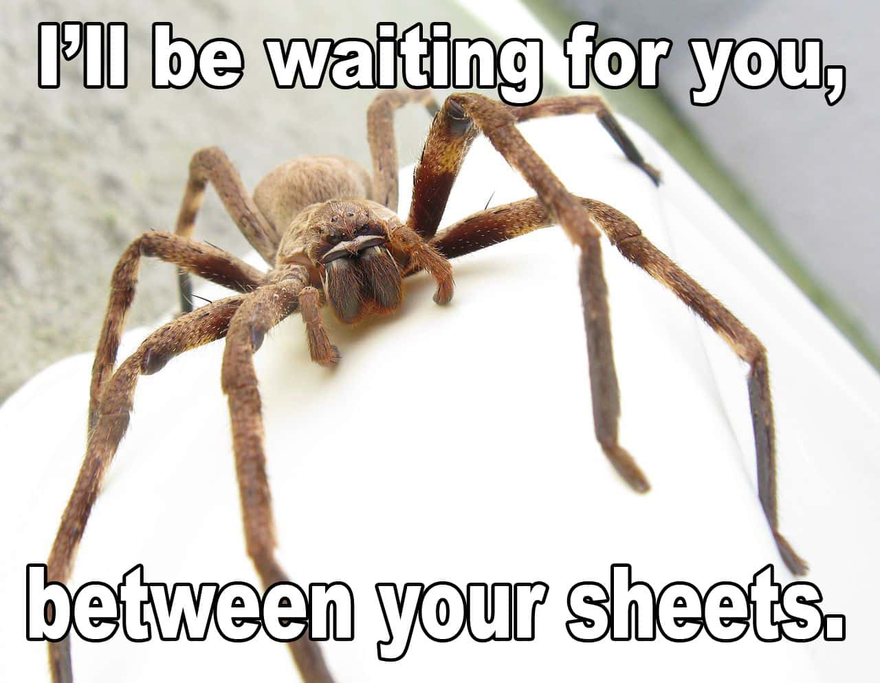 Horrifying Thing Woken Up To facts