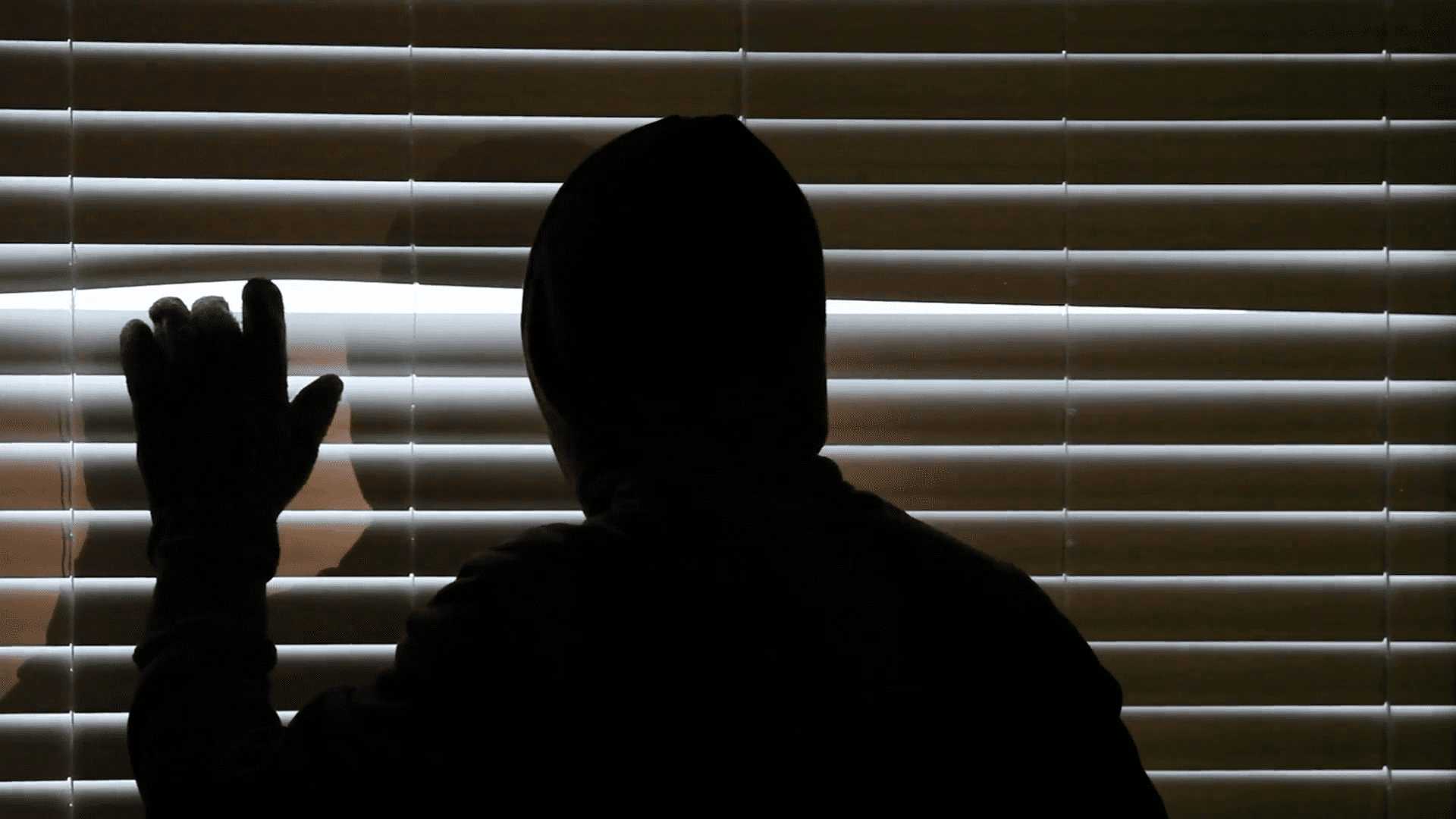 Paranormal Experiences facts