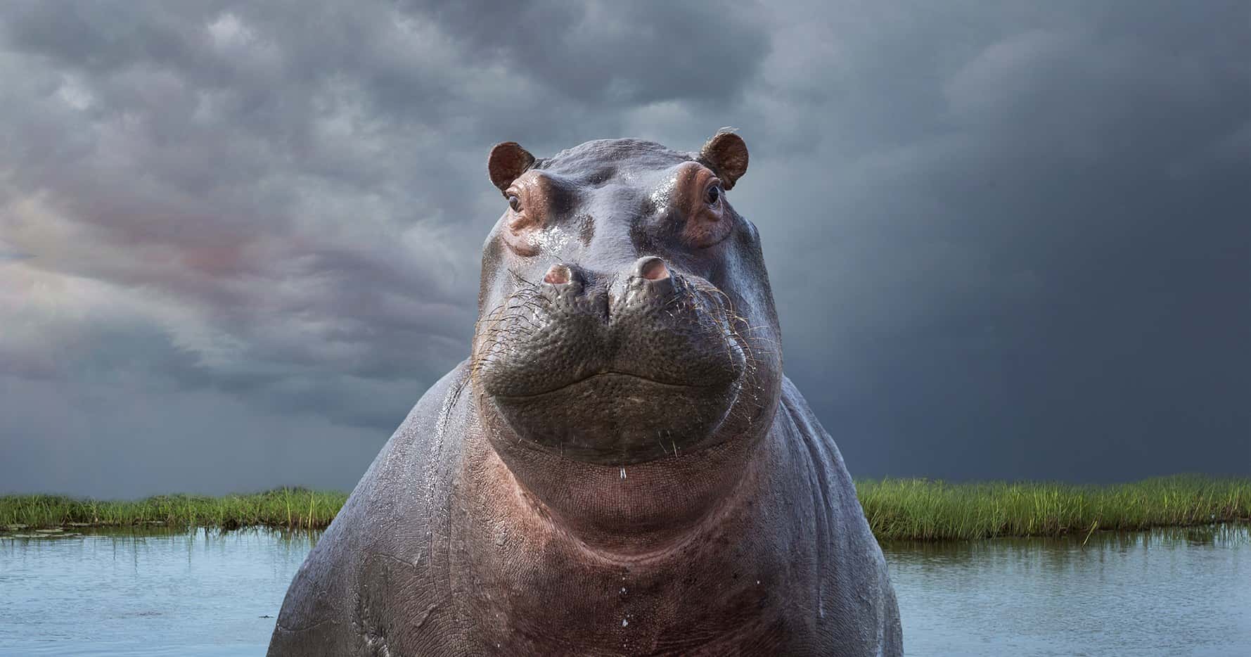 Overlooked Historical Facts