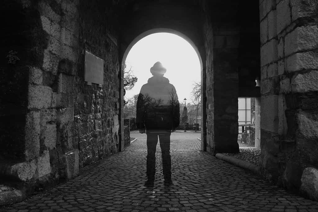 Disney Employees the Weirdest Thing They’ve Seen facts