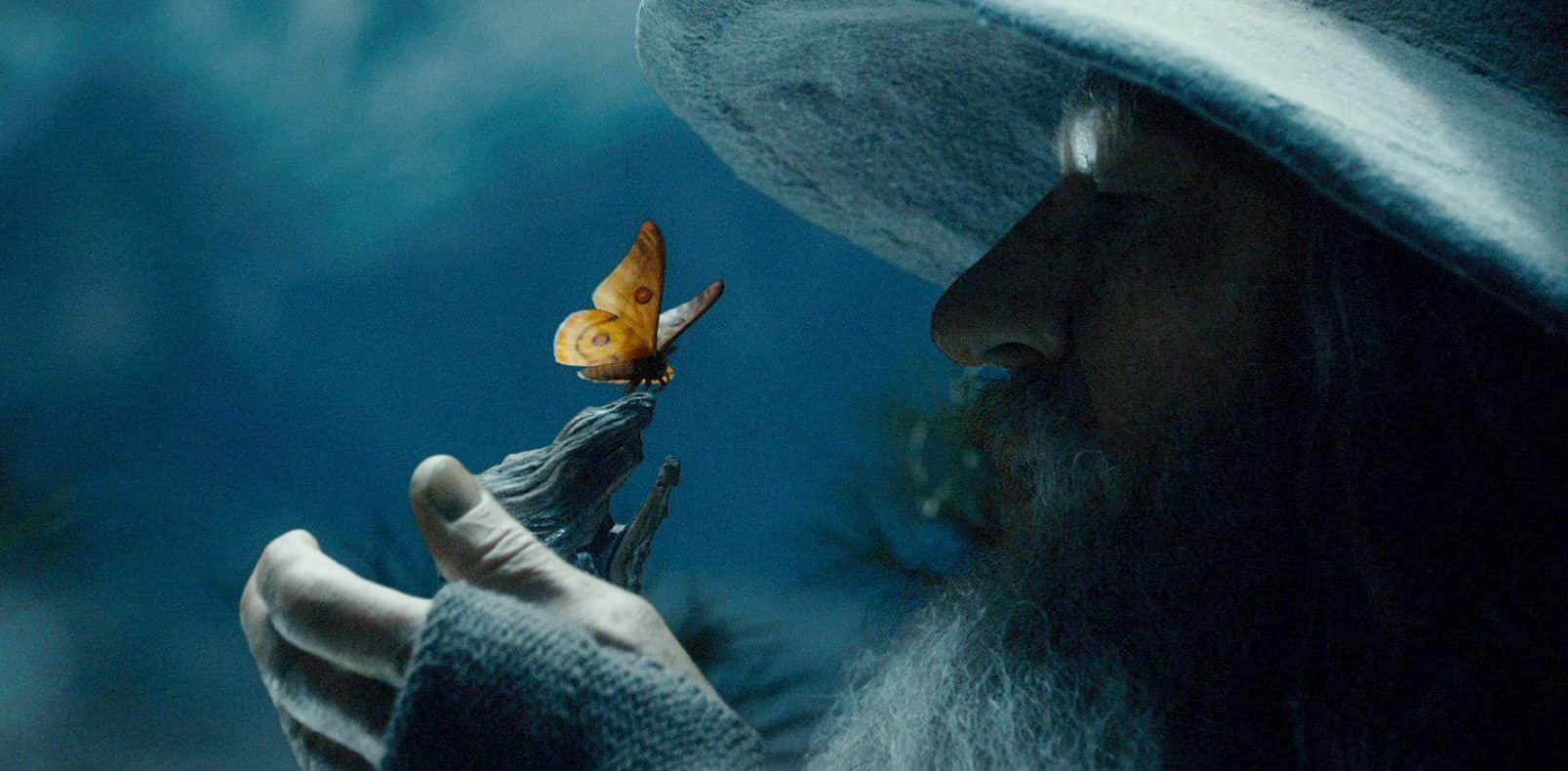 The Fellowship Of The Ring facts