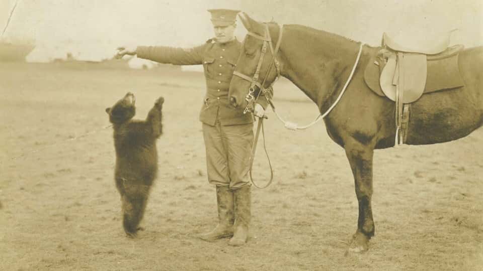 Winnie The Pooh facts