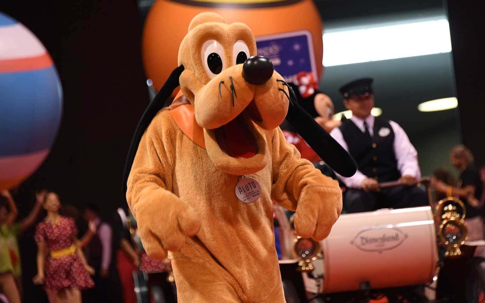 Disney Employees the Weirdest Thing They’ve Seen facts