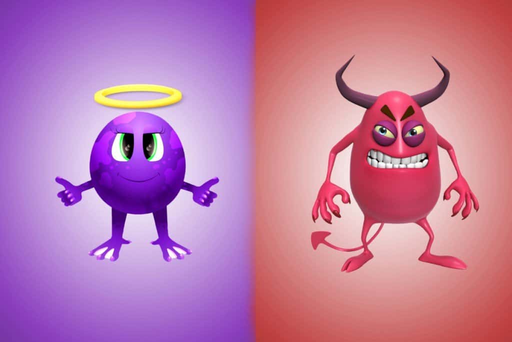 Common Misconceptions facts