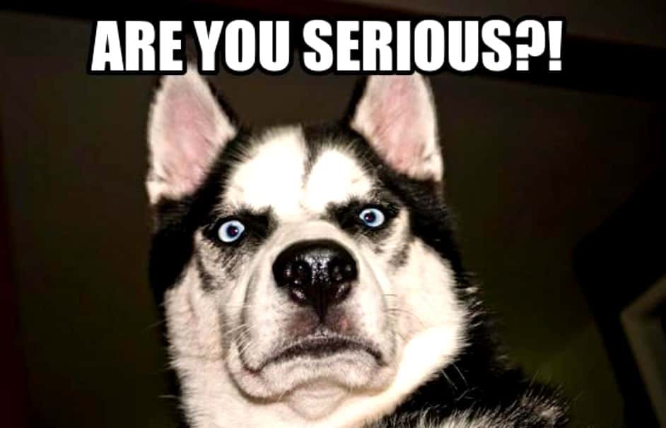 Sneak Through Airport Security facts 