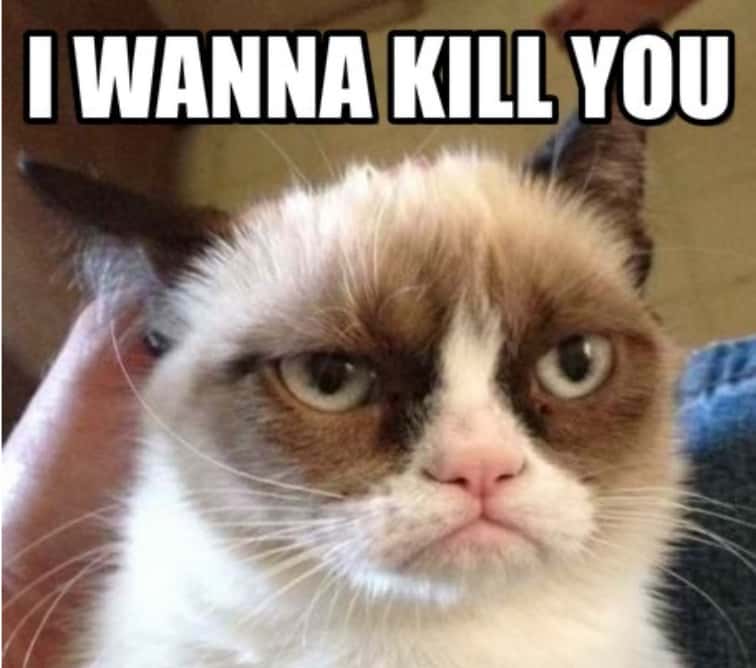 Family Members Facts