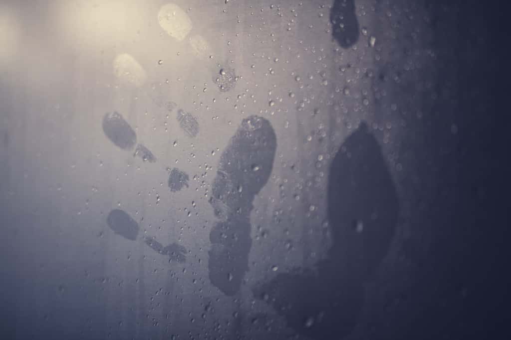 Paranormal Experiences facts