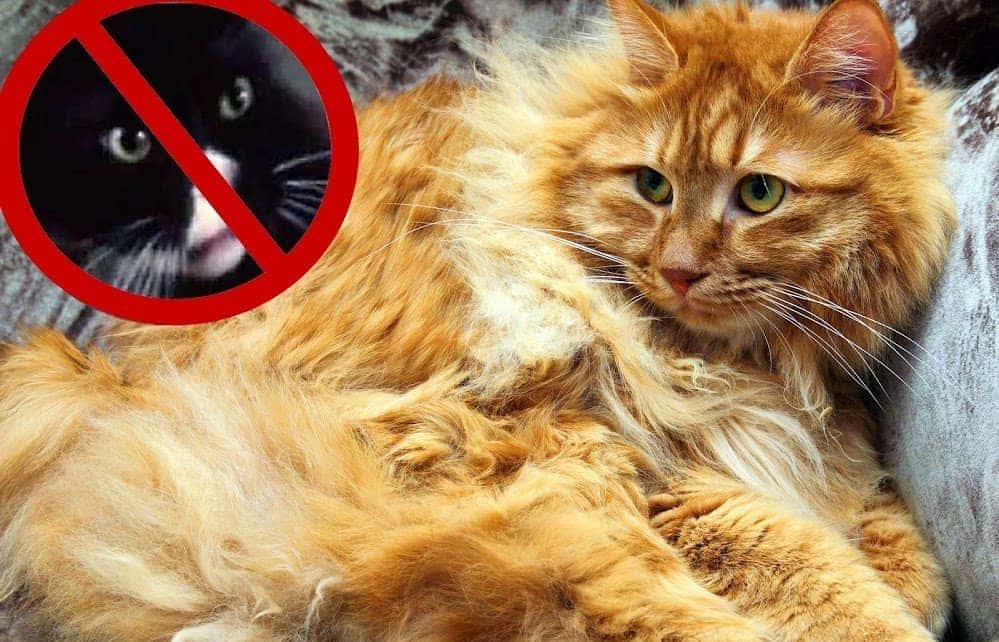 The Hunger Games facts