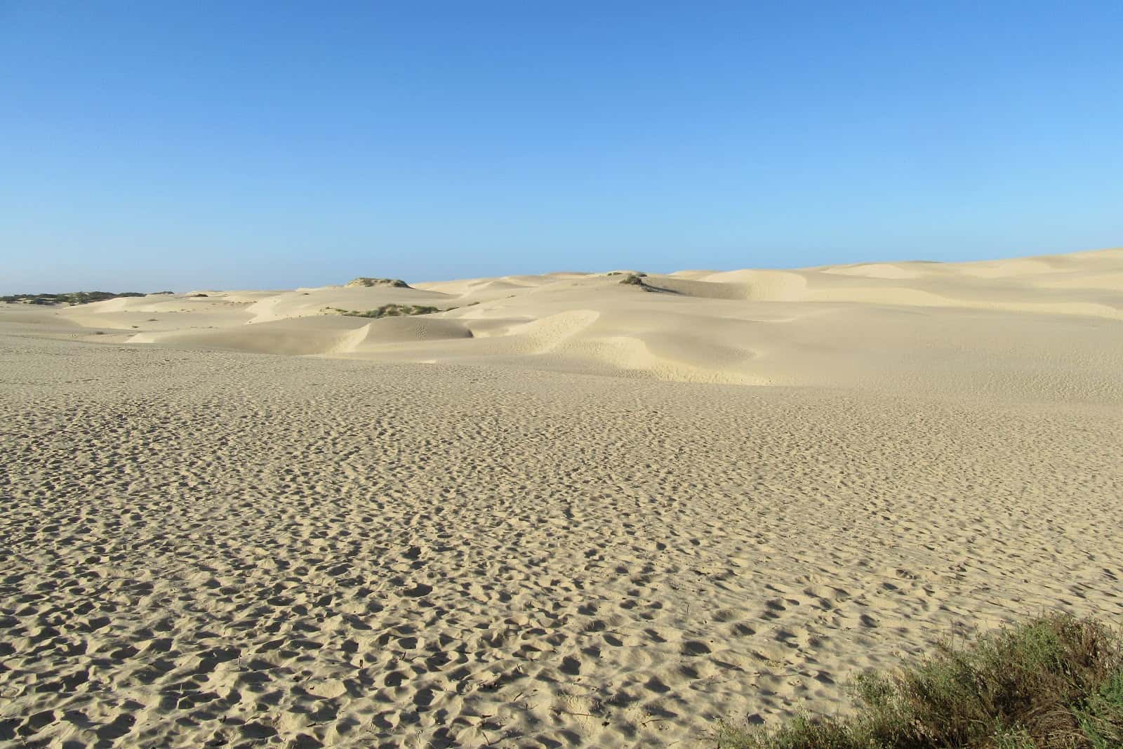 Habits of Ancient Peoples facts 