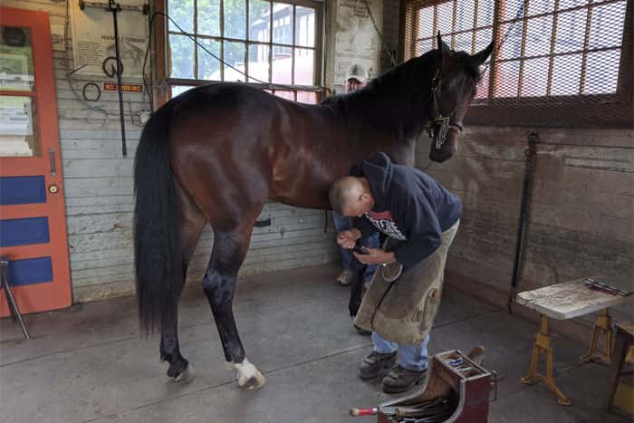 Rude Strangers Facts