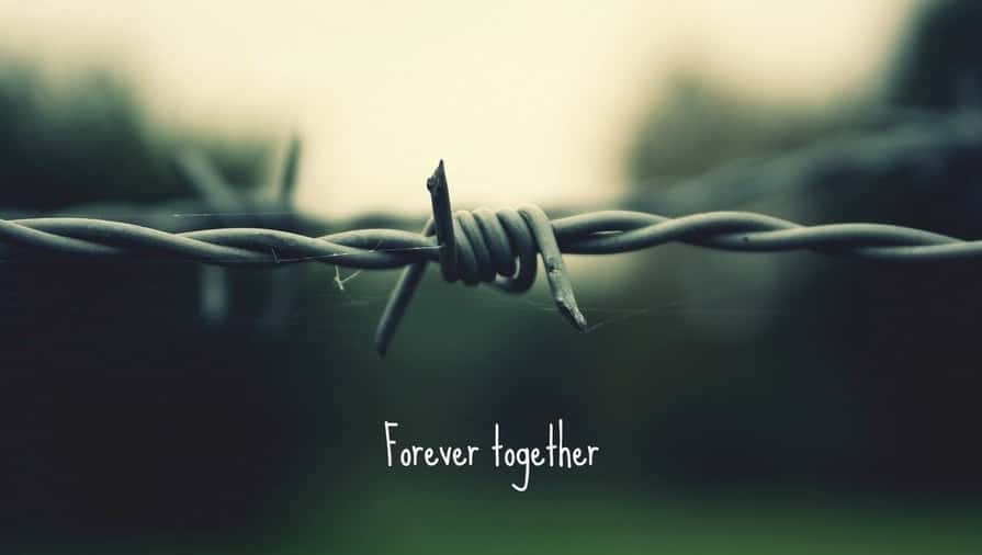 Wild Bill Hickok facts