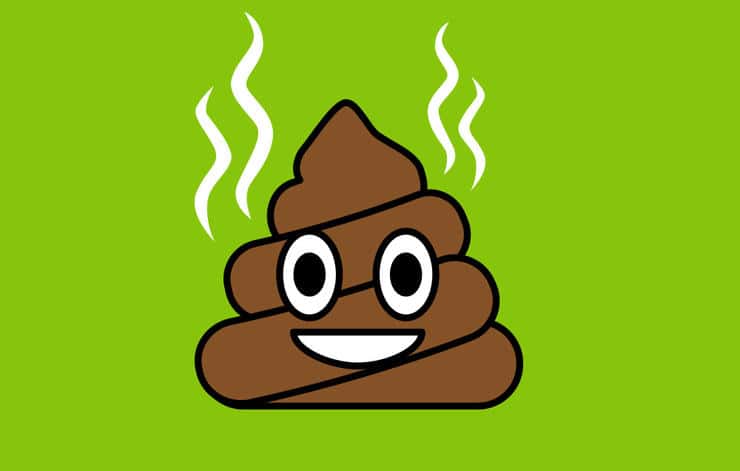 The Weirdest Things Seen In Another Person's Home Facts