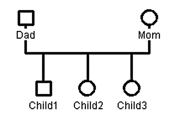 ibrahim the mad facts