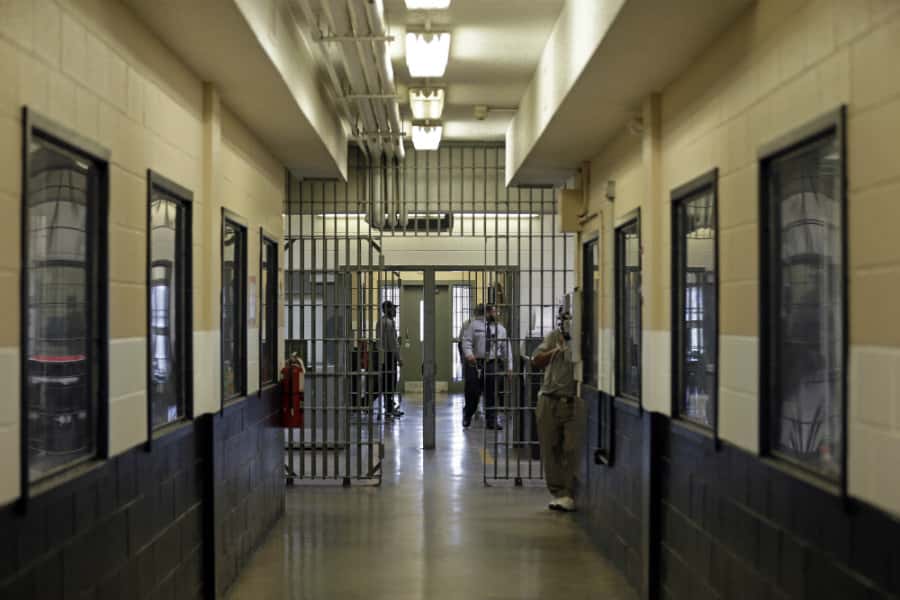 Family Members Facts