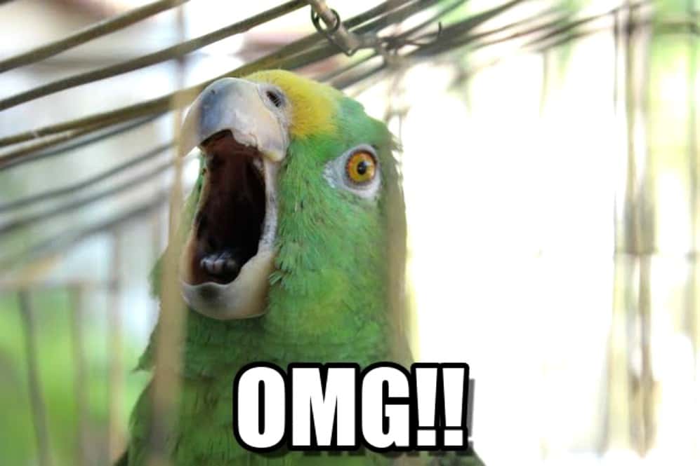 Habits of Ancient Peoples facts 