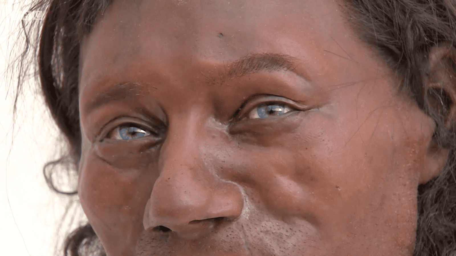 Prehistoric Humans facts