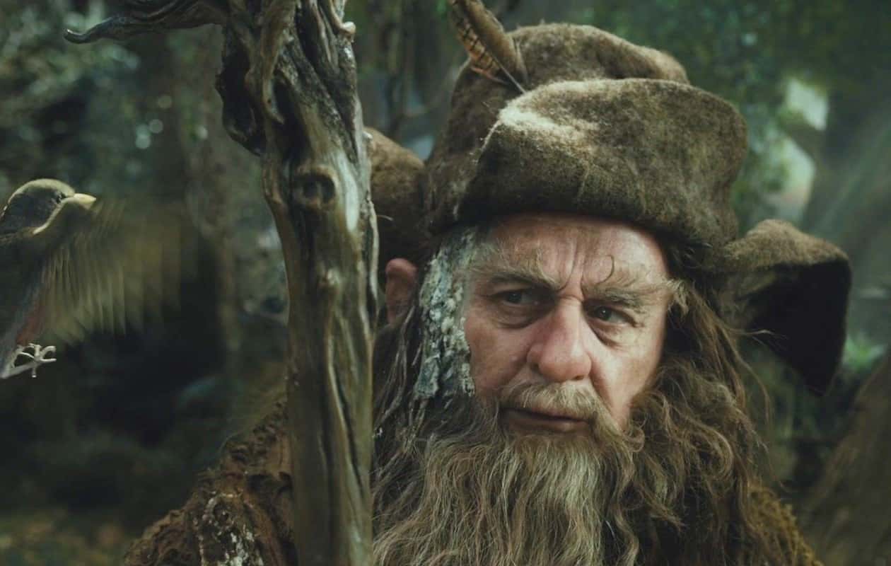 The Fellowship Of The Ring facts