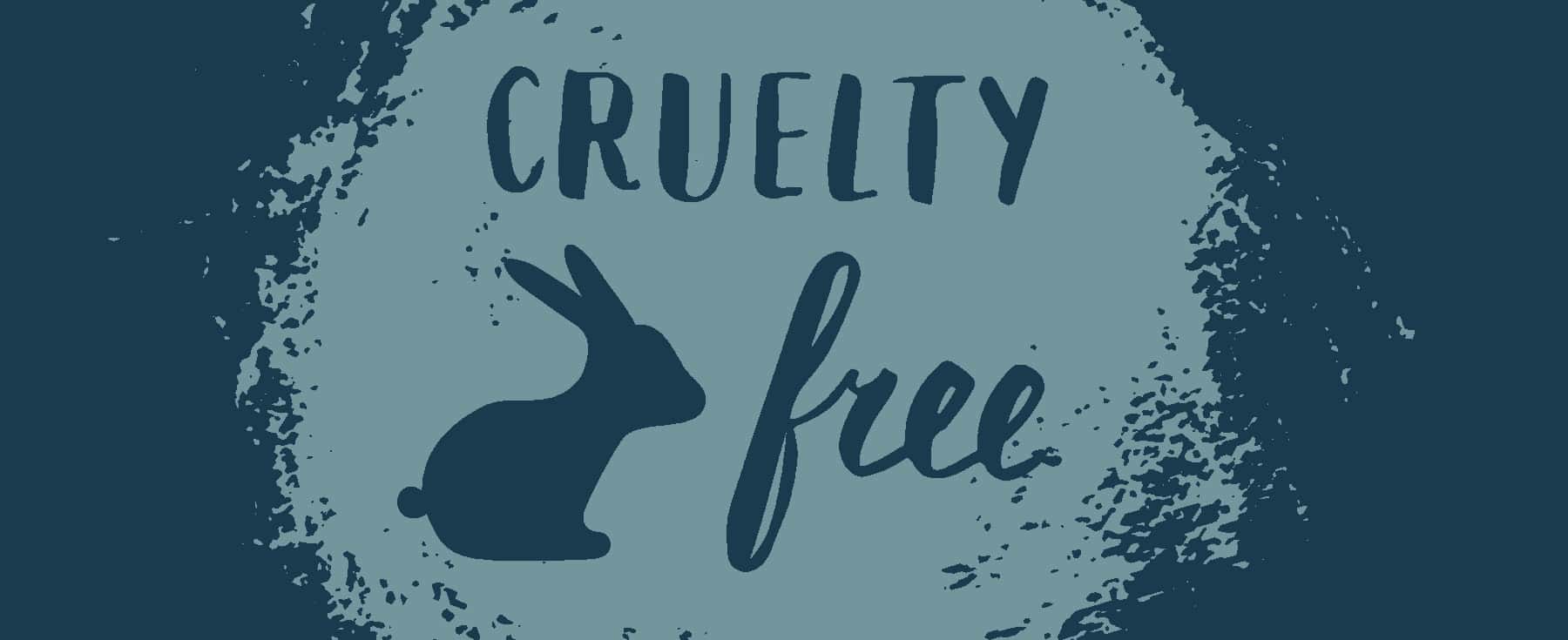 Alexander McQueen facts