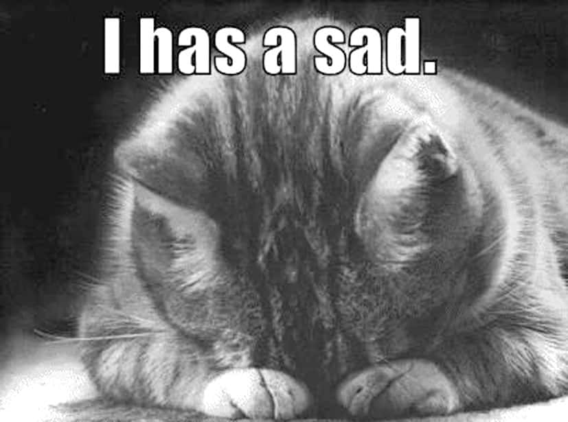 Jane Seymour, Queen of England facts 