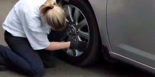 Rude Strangers Facts