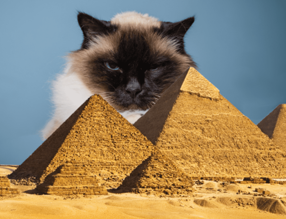 Habits of Ancient Peoples facts 