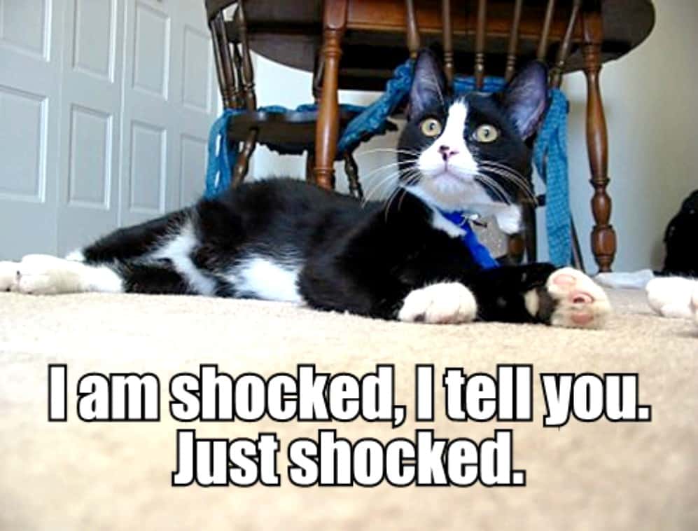 Jane Seymour, Queen of England facts 