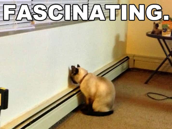 Benedict Cumberbatch facts