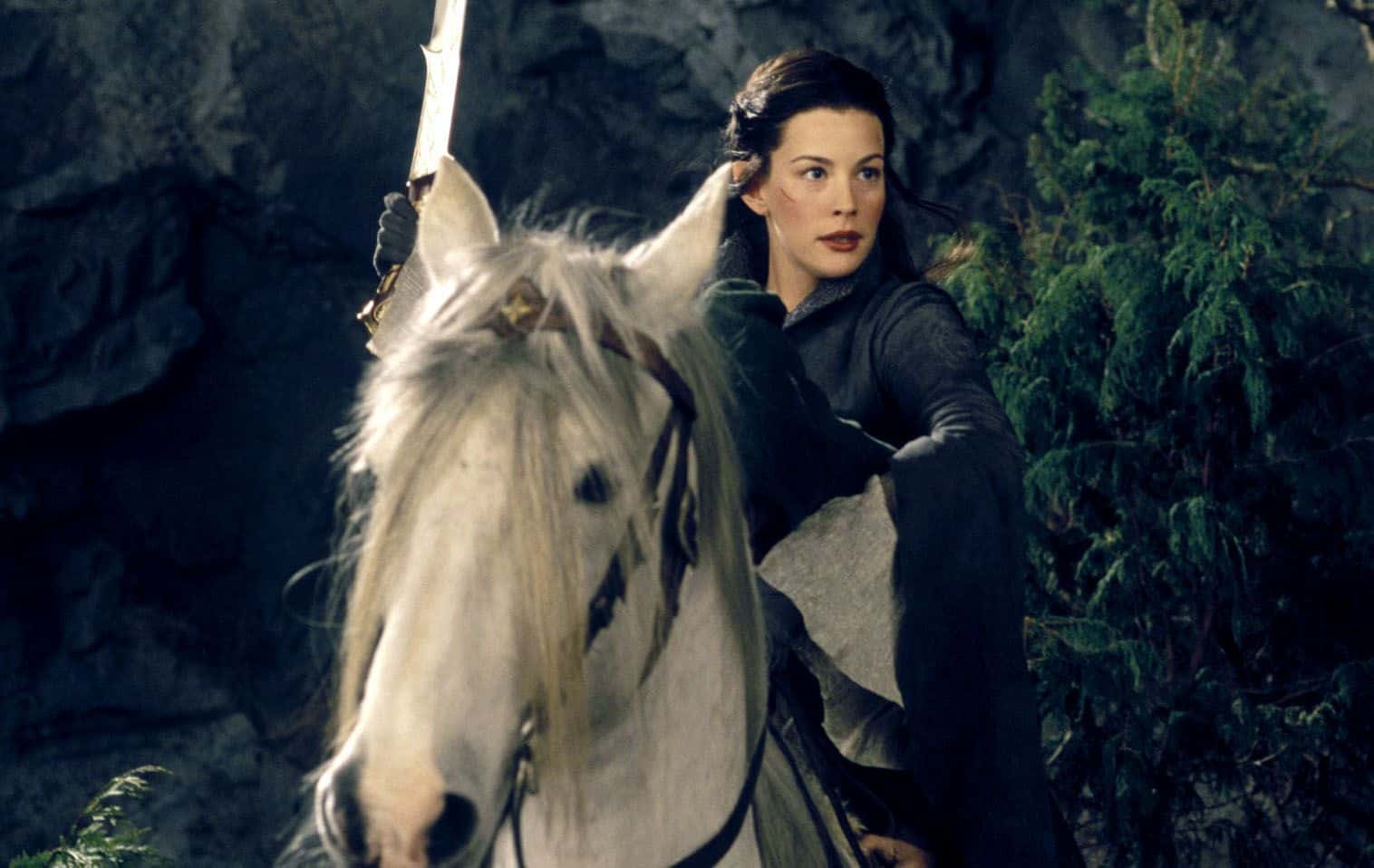 The Fellowship Of The Ring facts