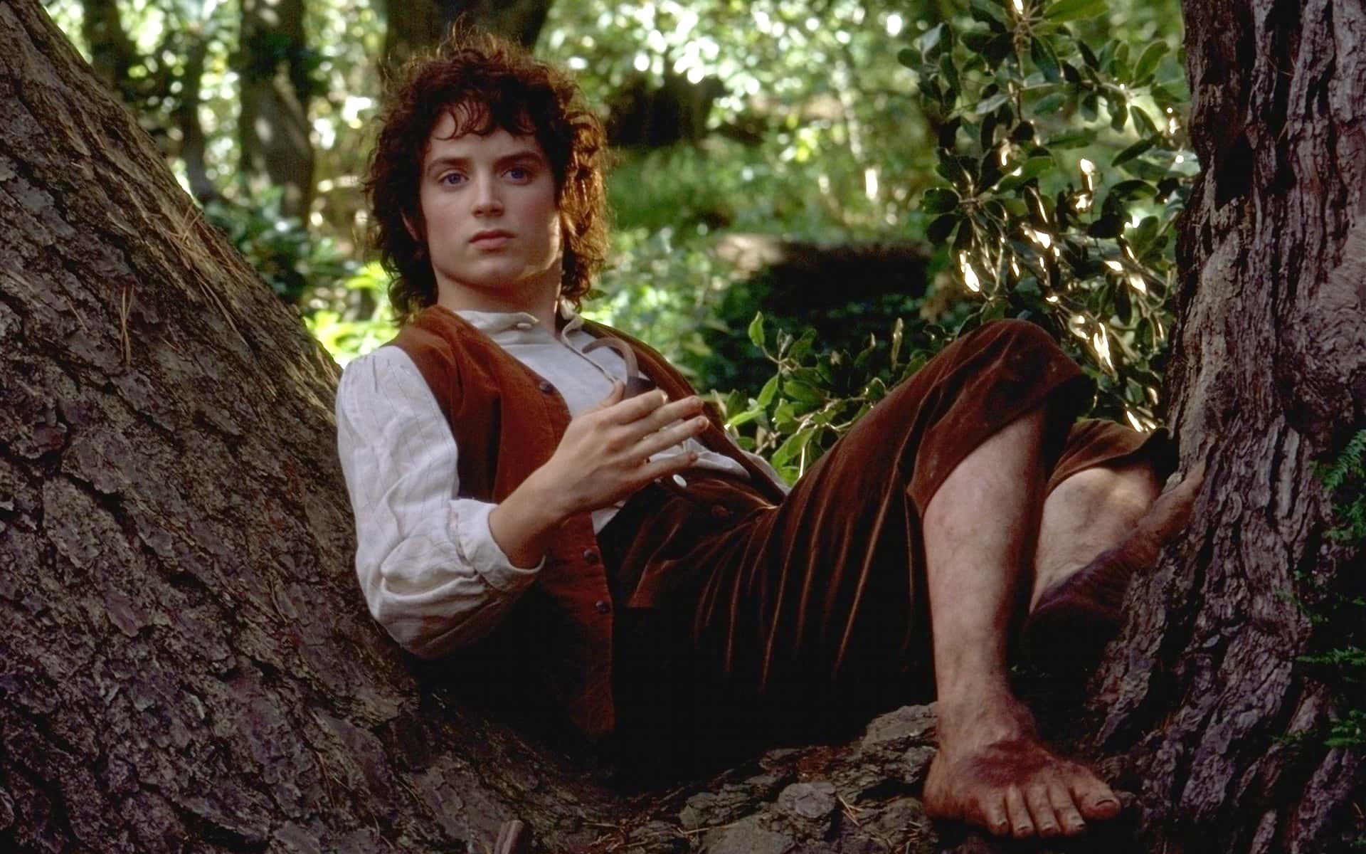 The Fellowship Of The Ring facts