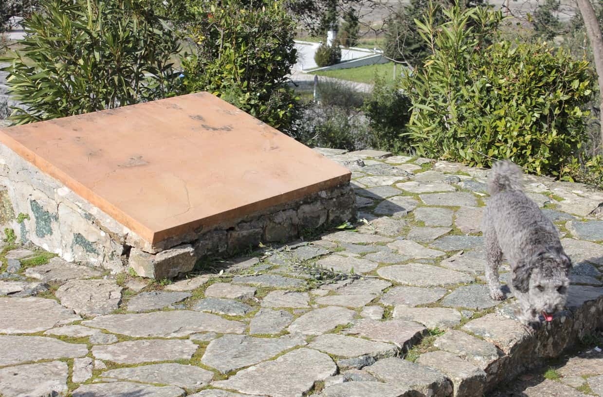 The Battle Of Thermopylae And The 300 Spartans facts 