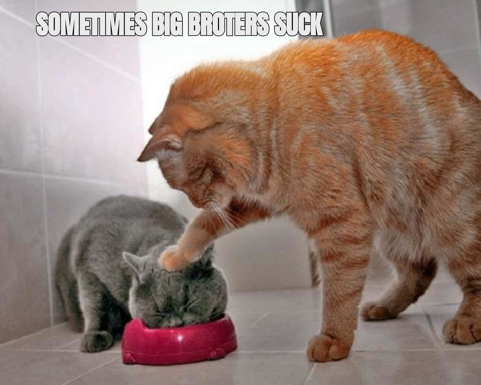 ibrahim the mad facts